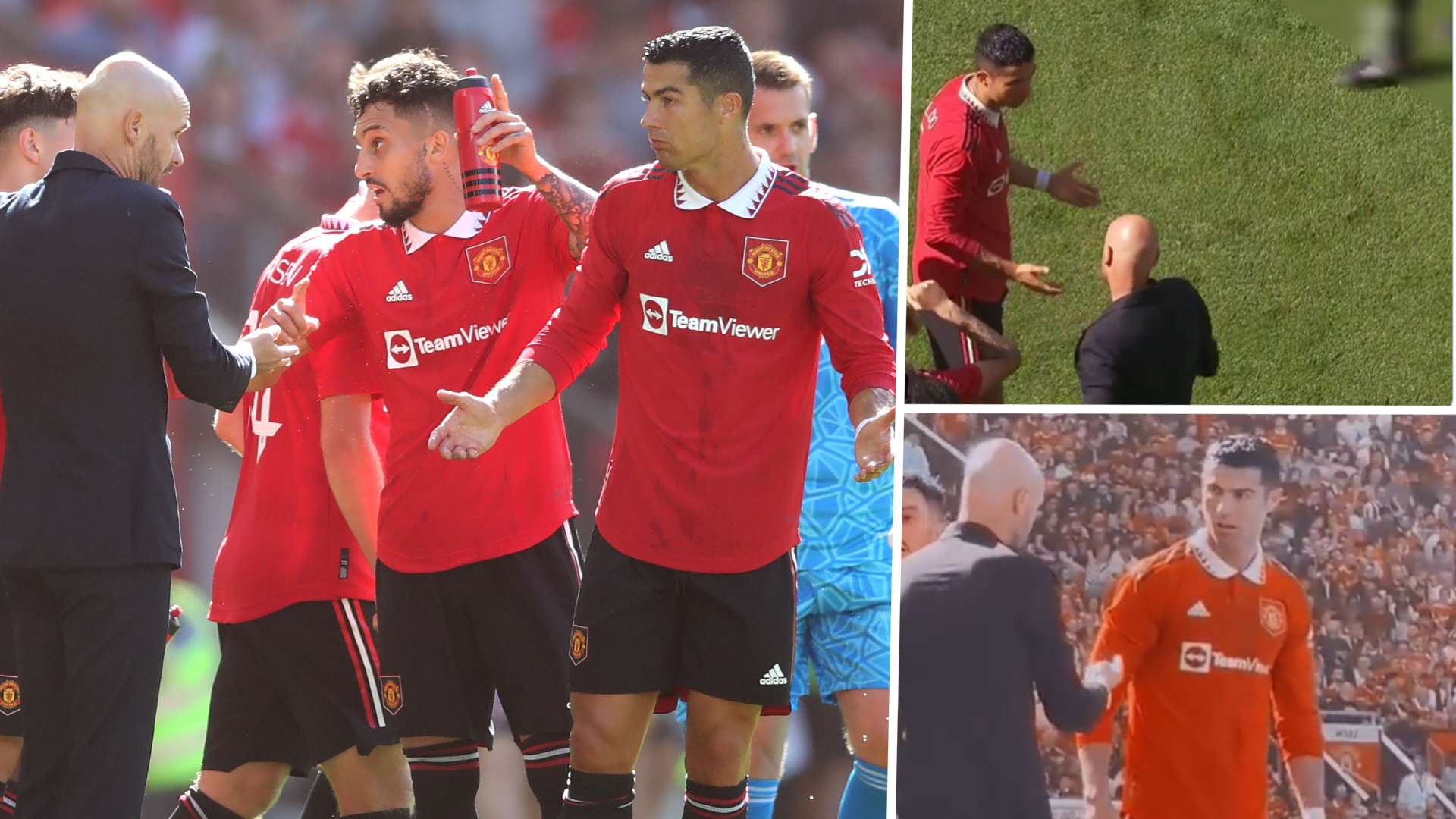 他球迷进行 他球迷进行