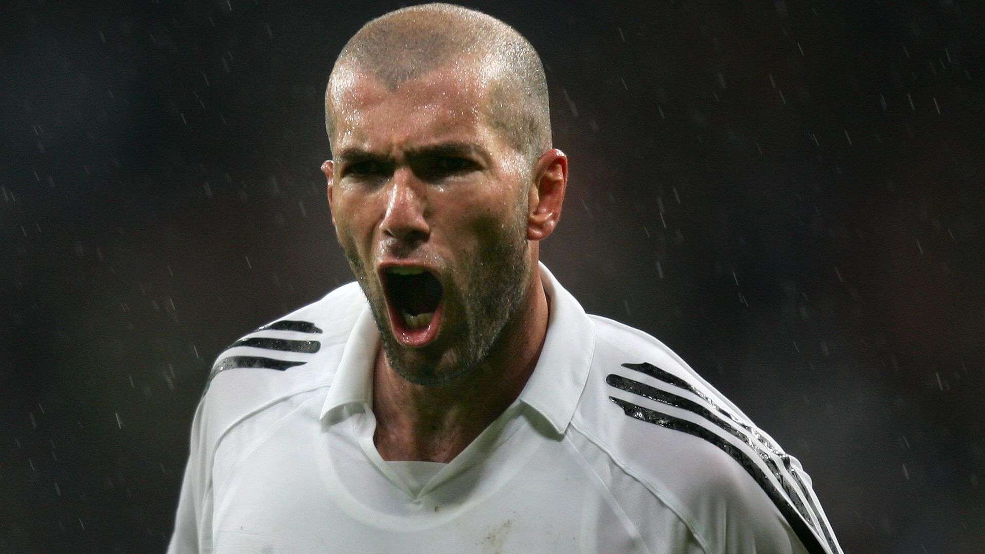 有人认为这 有人认为这