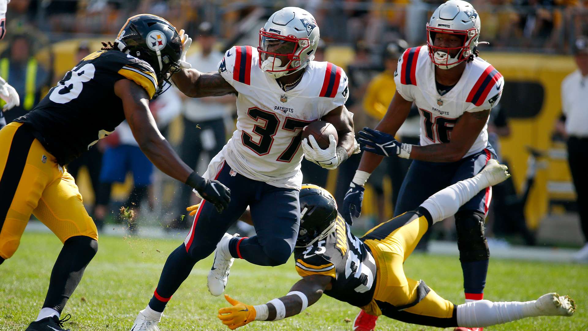 项新兴运动 项新兴运动