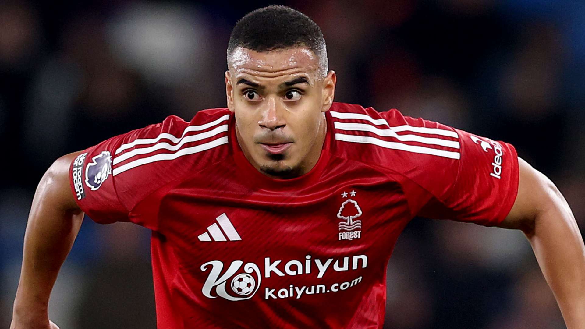 的文化历史 的文化历史