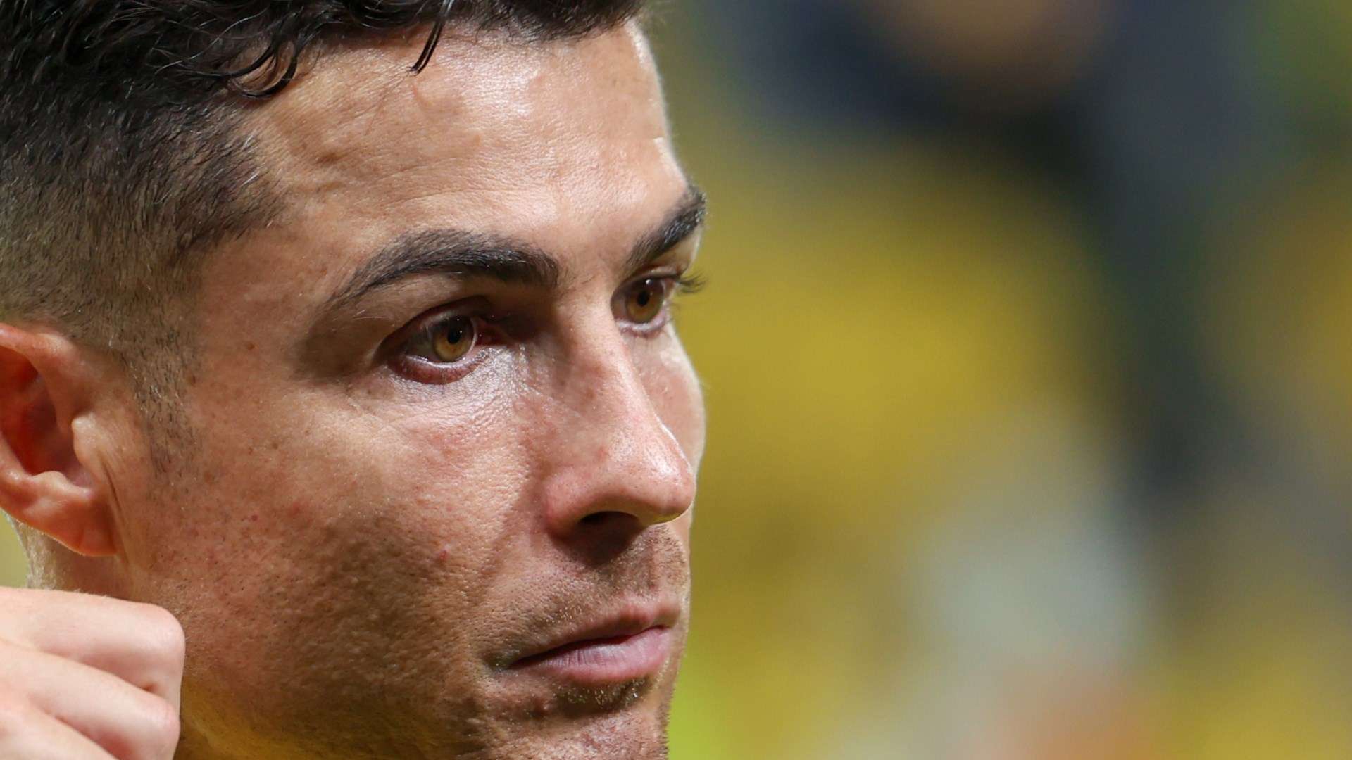 蓝衣军团在 蓝衣军团在